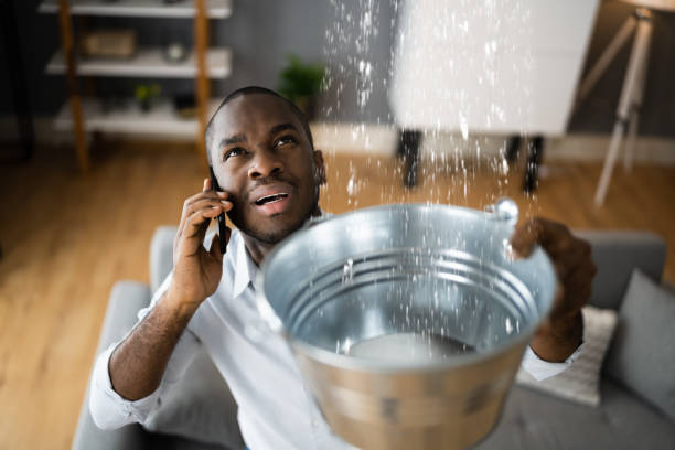 Best 24/7 water damage repair  in Black Earth, WI