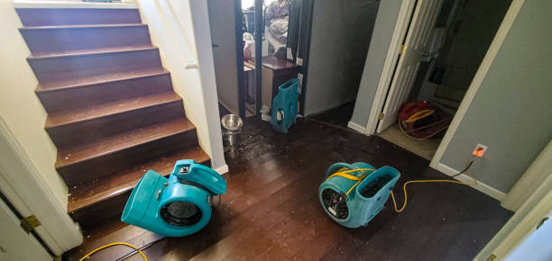  Black Earth, WI Water damage restoration Pros