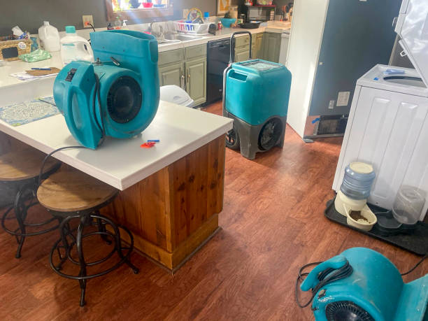 Best 24/7 water damage repair  in Black Earth, WI