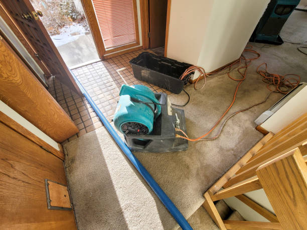 Best Flood restoration services  in Black Earth, WI