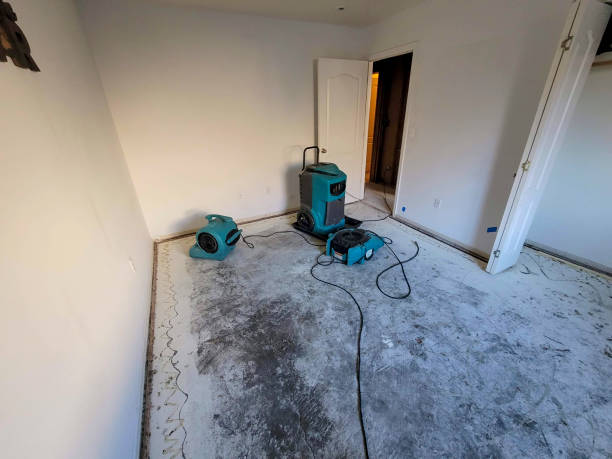 Best Commercial water damage restoration  in Black Earth, WI