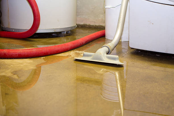 Best Fire Damage Restoration  in Black Earth, WI