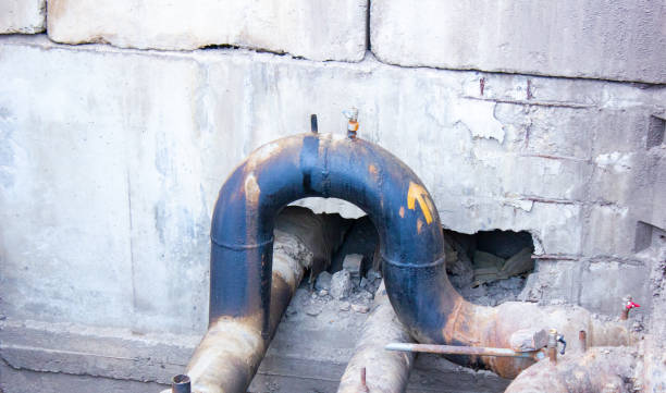 Best Carpet water damage restoration  in Black Earth, WI