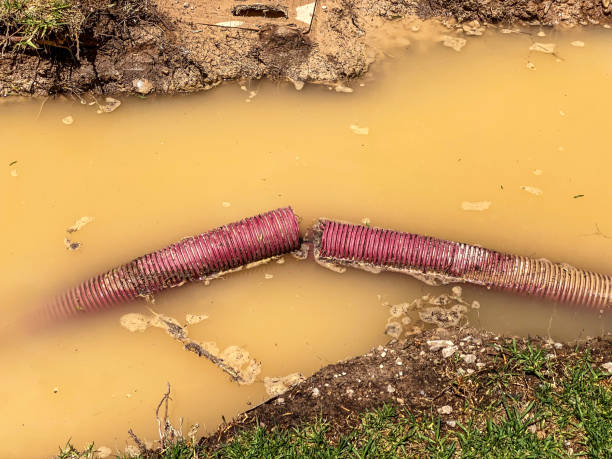 Best Fire Damage Restoration  in Black Earth, WI