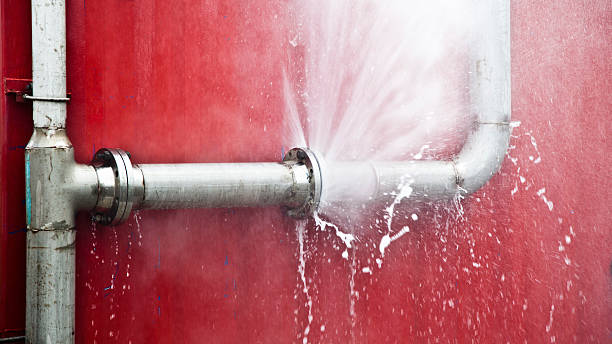 Best Flood damage cleanup  in Black Earth, WI